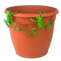 Marco Frio Red Eyed Tree Frog Thin Pot Sitter Hanger, Green MA2527867